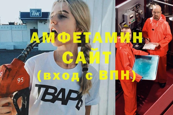 сатива Каменск-Шахтинский