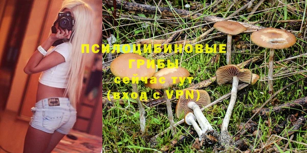 сатива Каменск-Шахтинский
