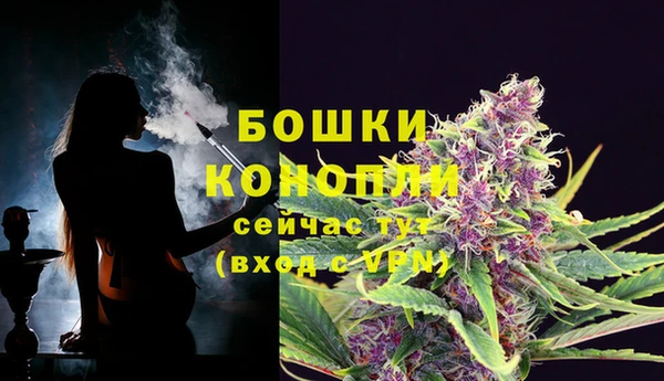 эйфоретик Каменногорск