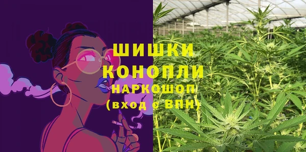 сатива Каменск-Шахтинский