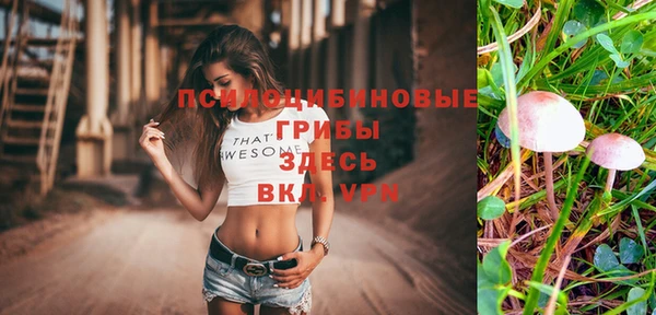 сатива Каменск-Шахтинский