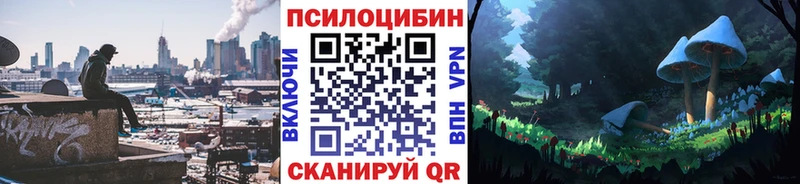 Купить закладки  Люберцы  Галлюциногенные грибы MAGIC MUSHROOMS 
